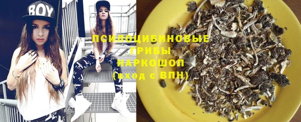 ешки Куйбышев