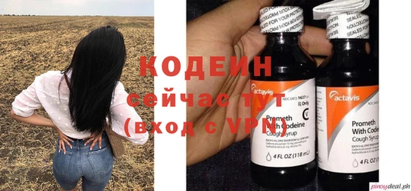 apvp Кукмор